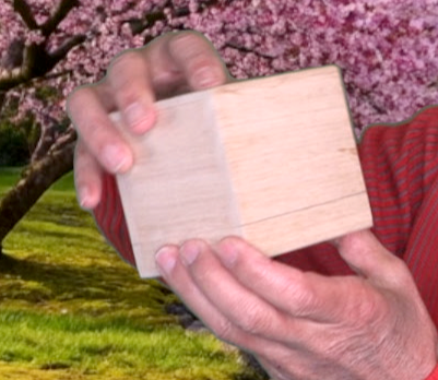 Discover the Elixir of Eternity: 10-Year Aged Comb Japanese Honey