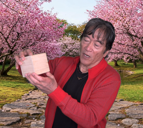Discover the Elixir of Eternity: 10-Year Aged Comb Japanese Honey