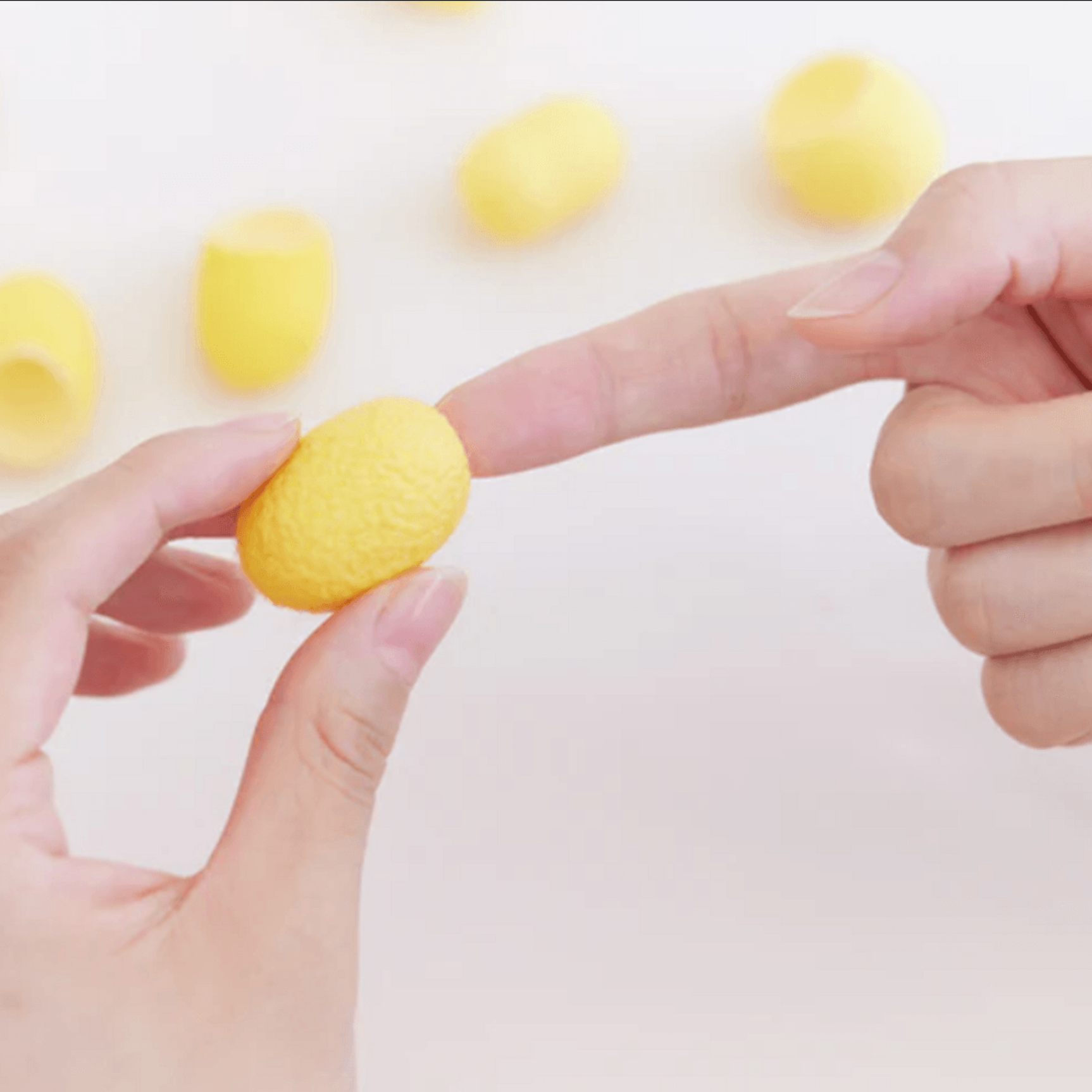 Mayucoi Golden Silk Cocoons